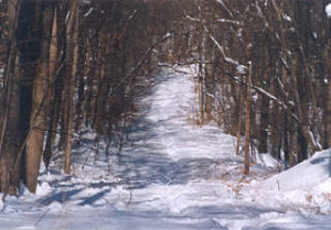 Tower Hill sled run