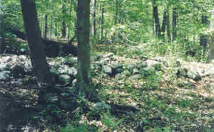 The Tourne