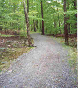 trailwidth01