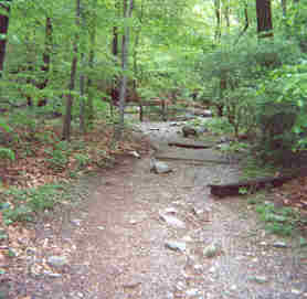 trailwidth02