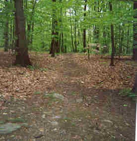 trailwidth03